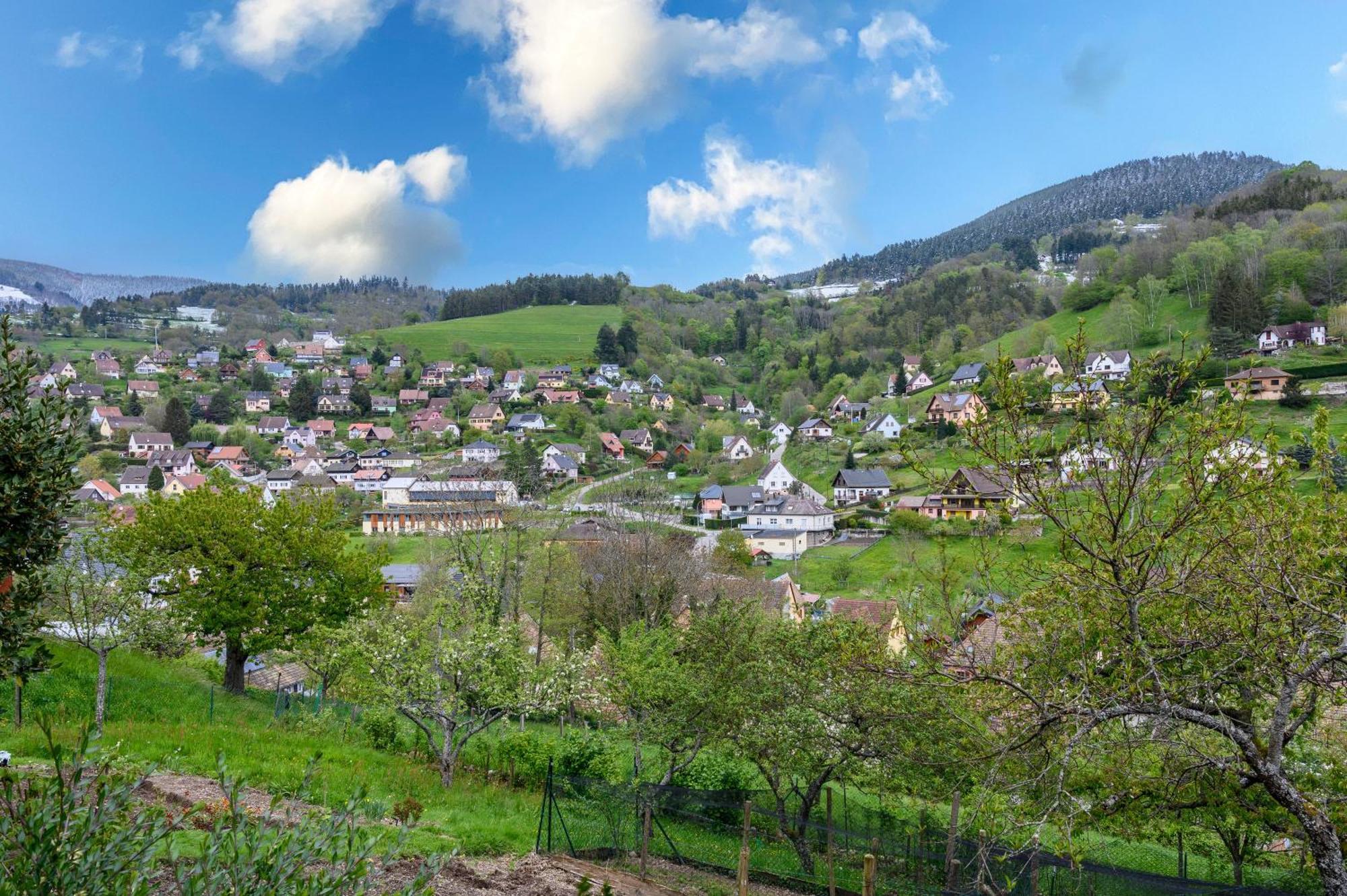 Gite En Montagne Vosges Alsaciennes Fréland Exterior foto